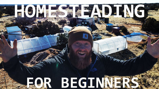 Homesteading for beginners