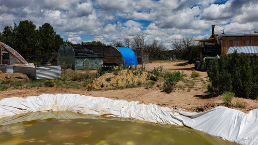 This is what real off the grid living looks like