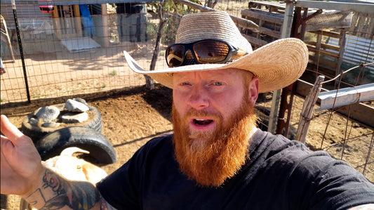 THIS is the MOST important step to starting a homestead.