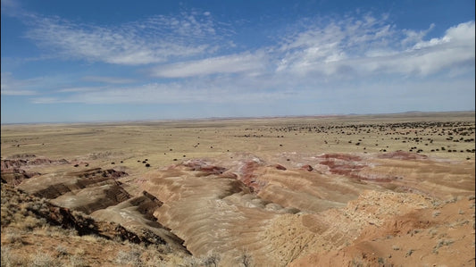 I went on a 7 mile jog to the highest point near my homestead and back