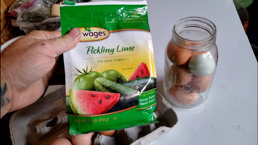 How to glass eggs for long-term food storage