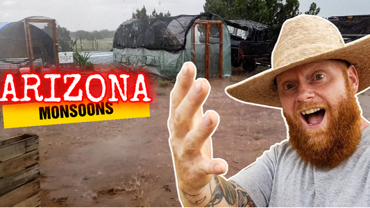 Rain Harvesting Thousands of Gallons of Rainwater from Arizona Monsoons