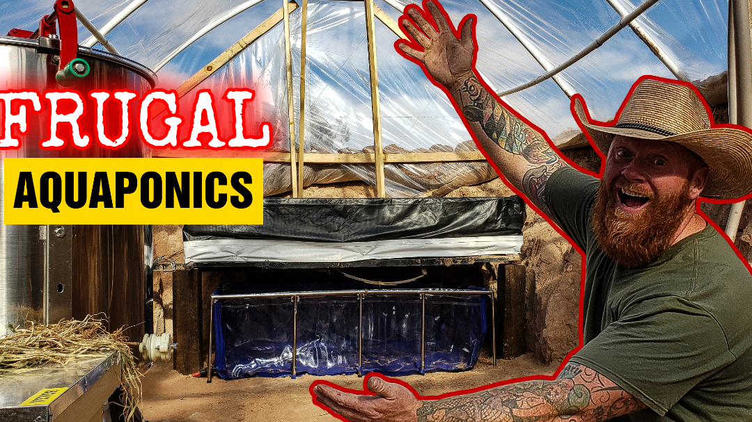 View of I'm building an off-grid aquaponics greenhouse – Frugal Off Grid