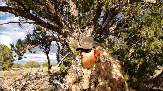 My first time hunting black bear, deer and mountain lion in the high desert of Arizona - Frugal Off Grid