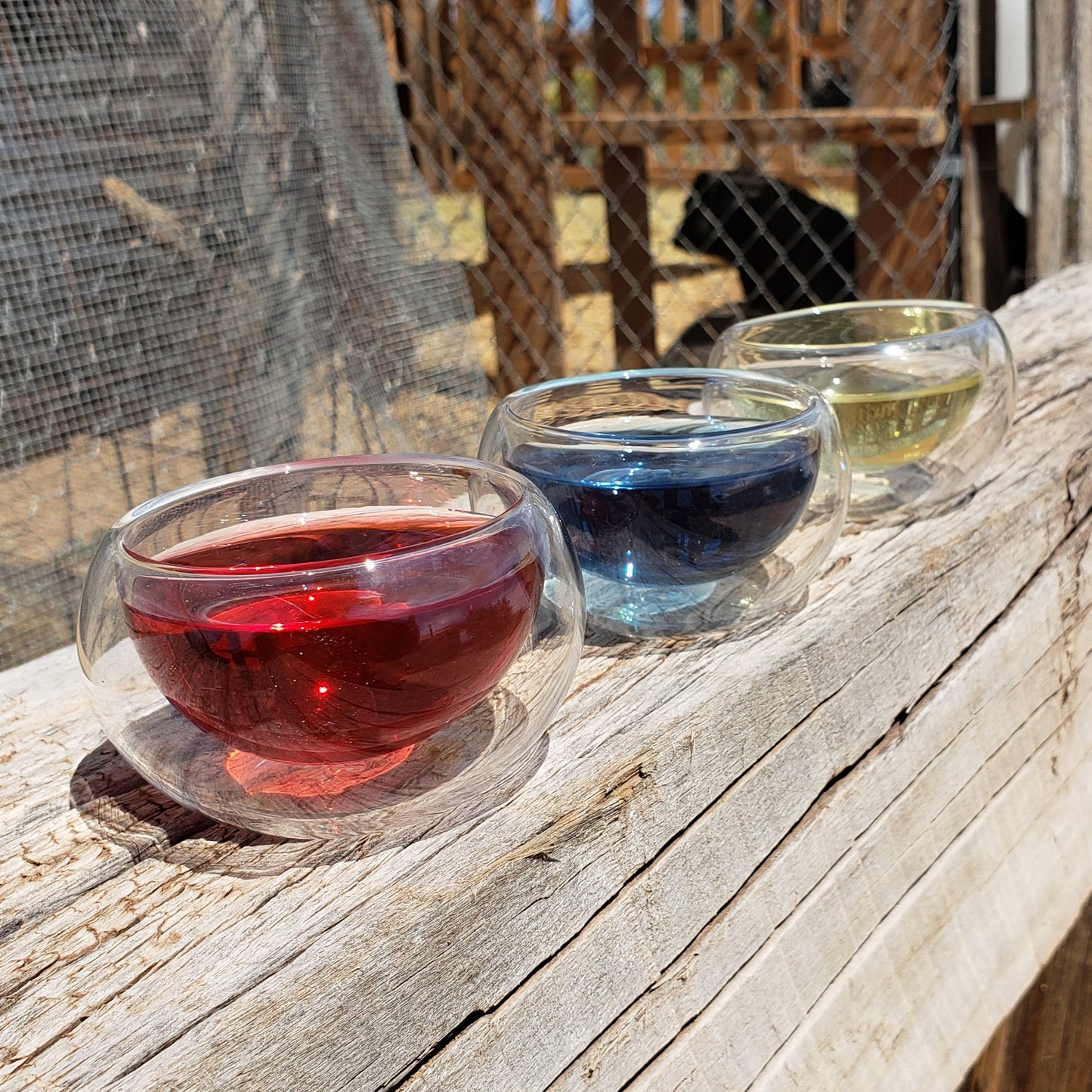 frugal off grid tea lover kit red blue and green tea blends discounted