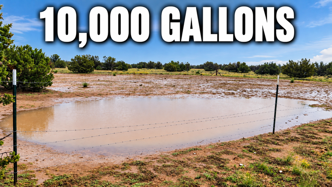 How I Harvested 10,000 Gallons of Rainwater From One Arizona Monsoon Storm