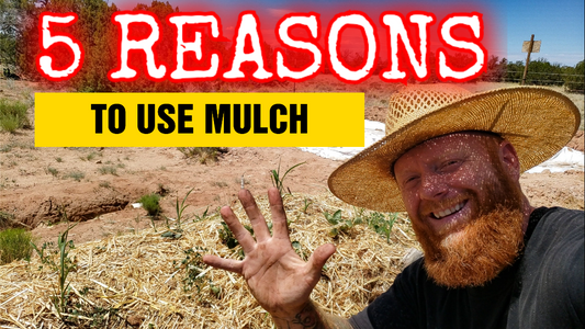 5 reasons to use mulch in your high desert garden