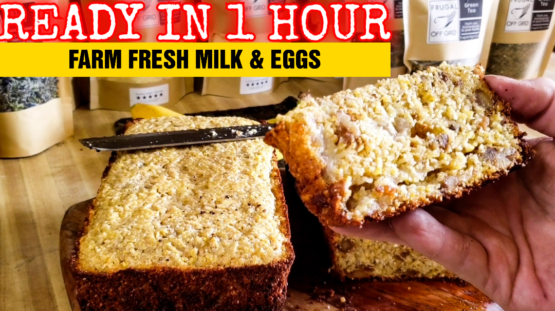 Delicious banana nut cornbread recipe by Frugal Off Grid Homestead (Ready in 1 hour)