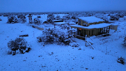 Surviving High Desert Winter: Cold Weather Strategies