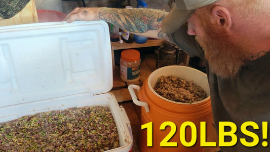 How to make frugal and healthy dog food