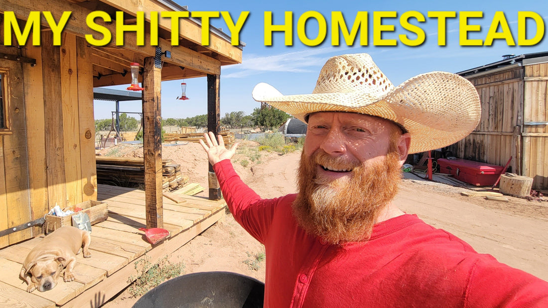 BROKE TO HOMESTEAD - MY $1800 LAND