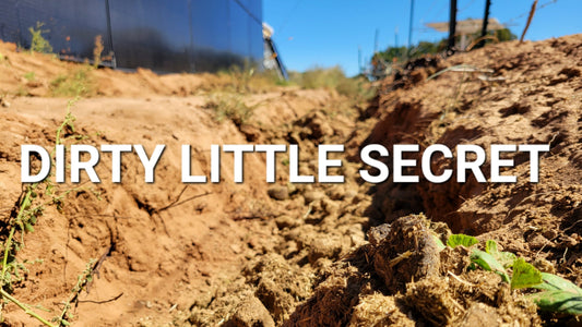 Swale irrigation secrets for arid homesteads