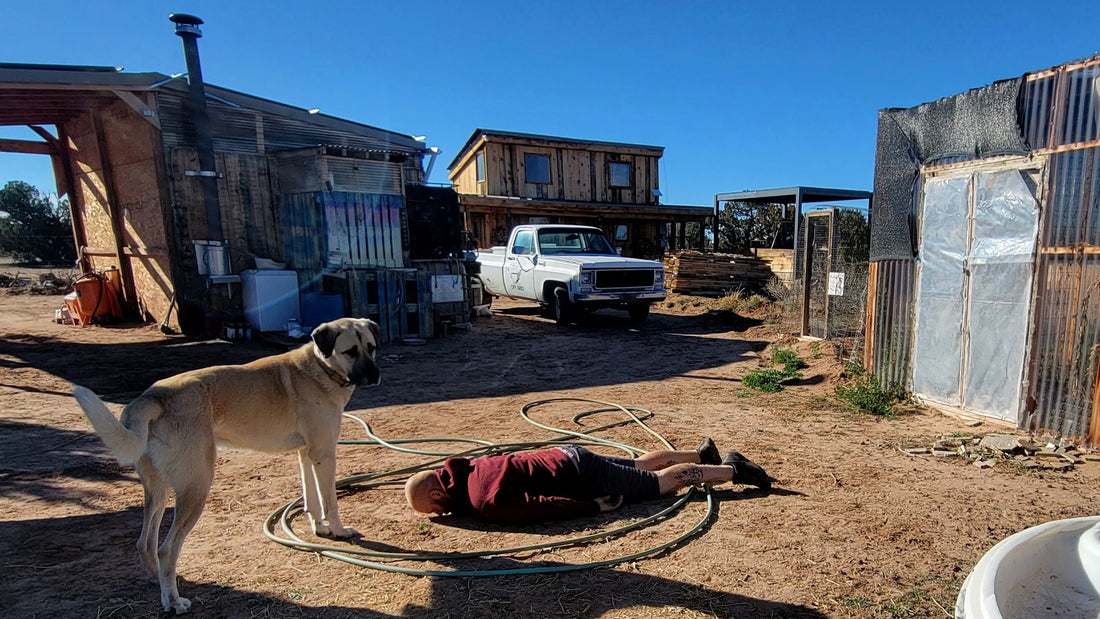 I MAY NEED TO STOP building my frugal off grid homestead