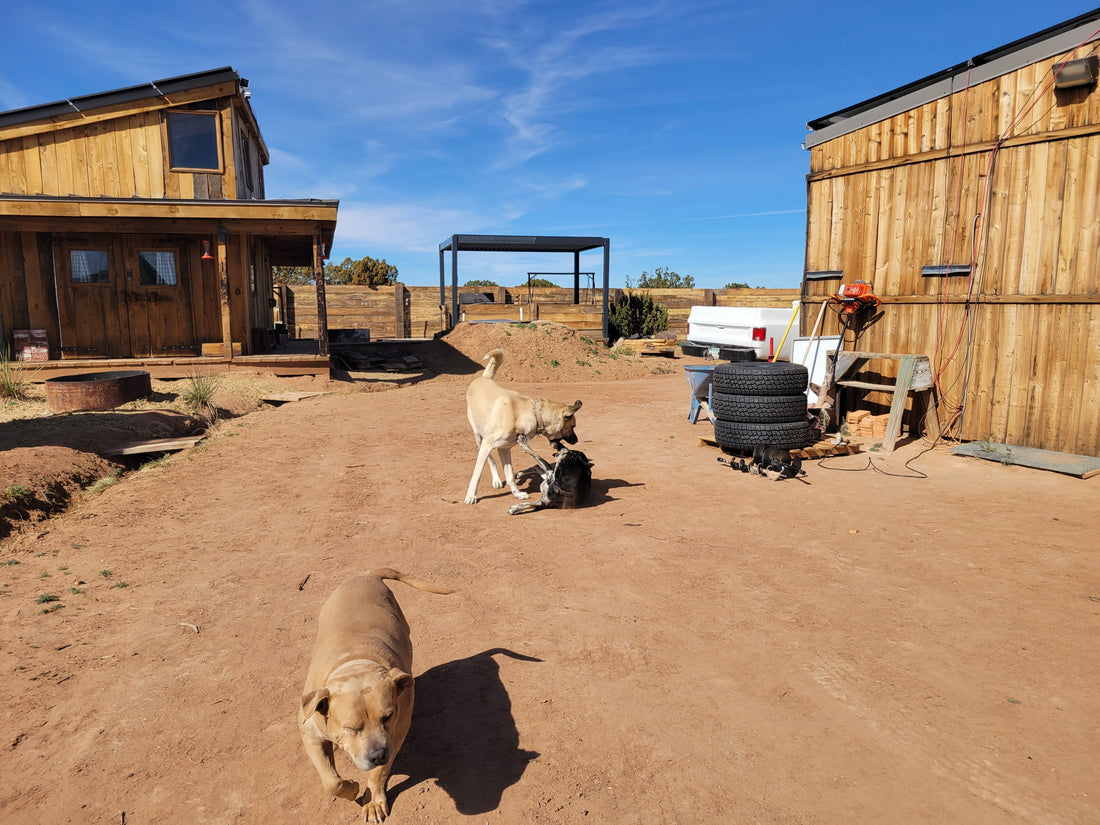 Is Off-Grid Living Illegal? Why It Feels Like You’re Not Allowed to Live Off-Grid