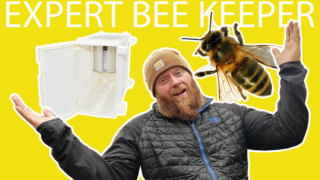 Expert Beekeeper