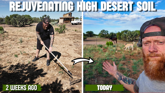 This Was Dirt Just Two Weeks Ago: Building Soil in the High Desert