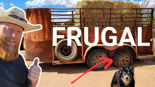 Frugal Horse Trailer Upgrades