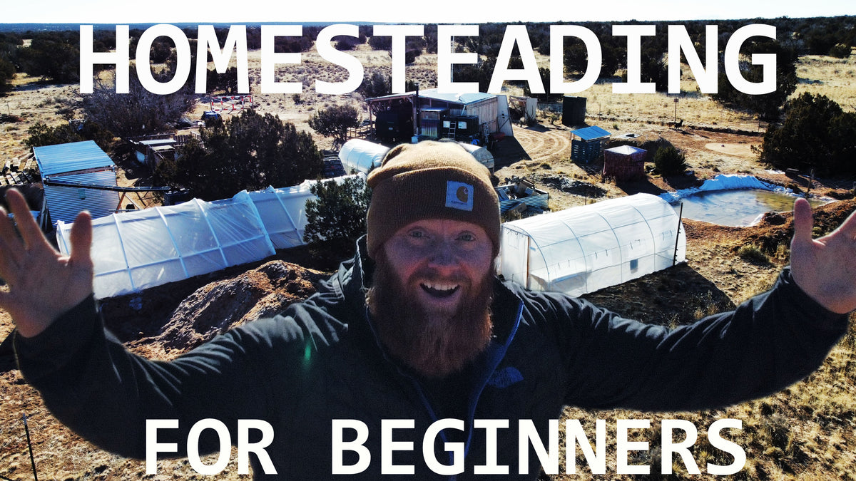 Homesteading for beginners, how to get started living off grid ...