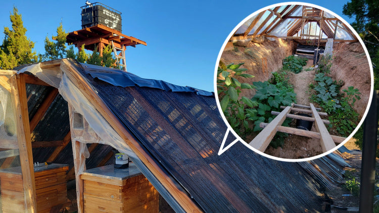 High Desert Greenhouse: Year-Round Growing Secrets - Frugal Off Grid