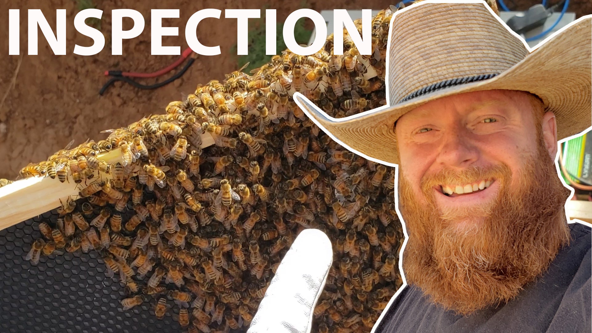 My First Beehive Inspection And Planting My Spring Gardens Frugal Off