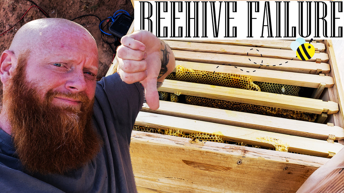 Frugal Off Grid's Biggest Failure to Date - The mistake I have never heard beekeepers mention