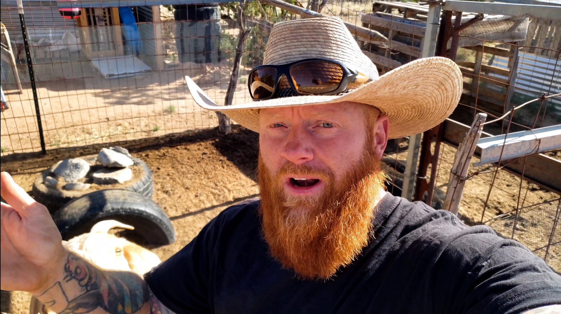 THIS is the MOST important step to starting a homestead. – Frugal Off Grid