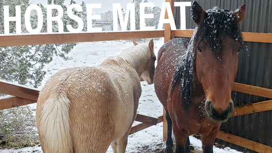 Are horses a bad idea for your homestead?
