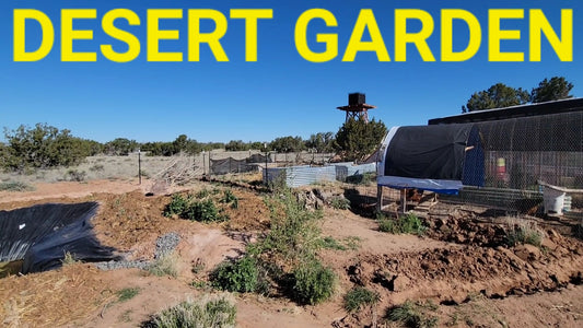 BOG Filter and Desert Garden Update
