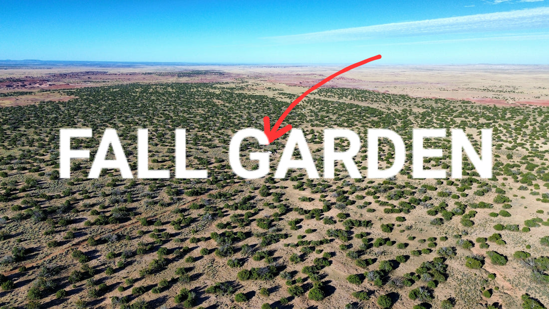 Preparing my High Desert Homestead for FALL