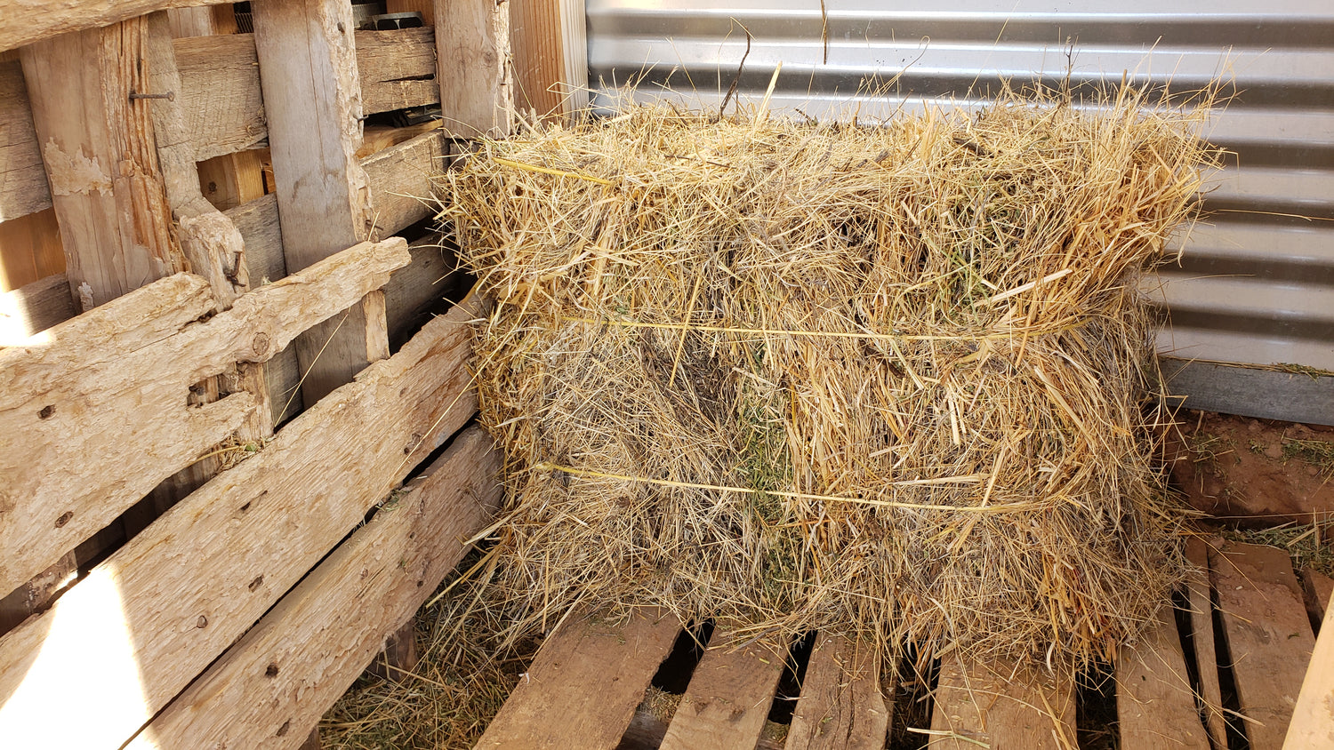 homesteading for beginners course diy hay baler save big on feed cost