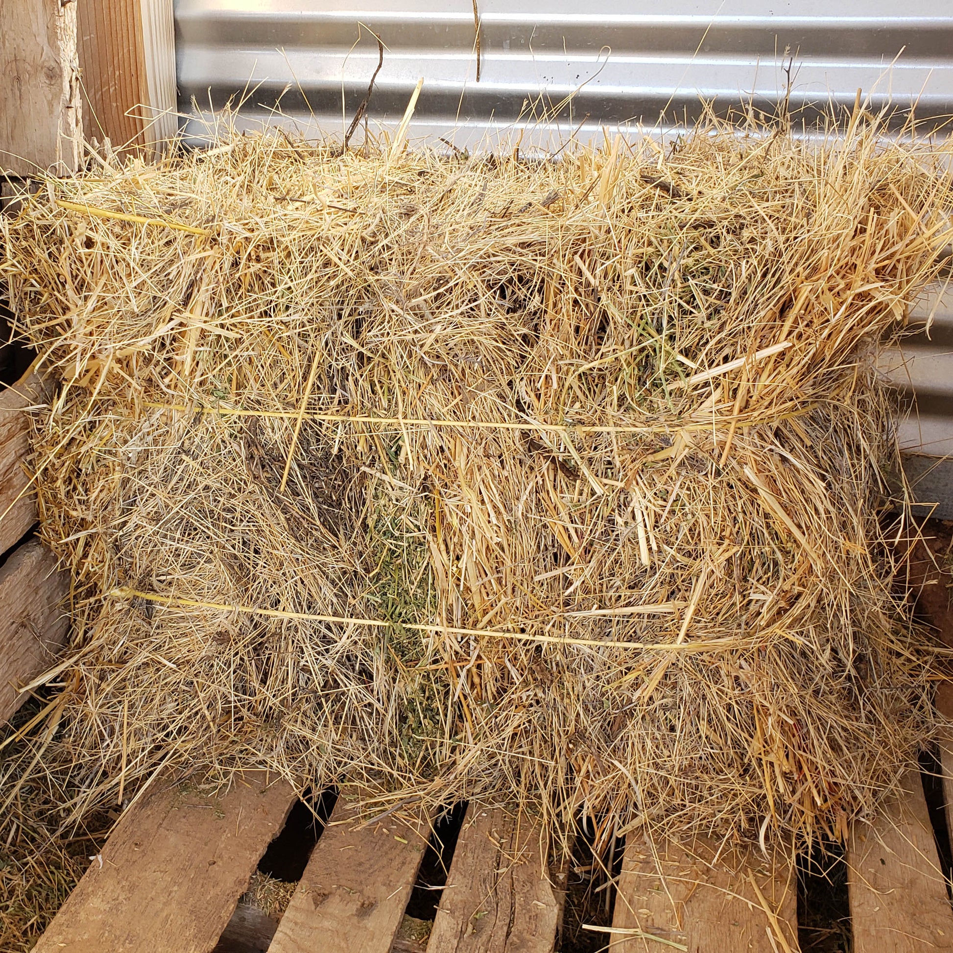 Frugal off grid Arizona Homestead diy-hay-baler course cut livestock feed cost in half